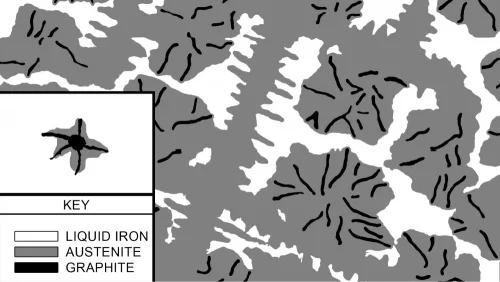 Illustration of graphite flakes and austenite having grown during the solidification of ductile iron