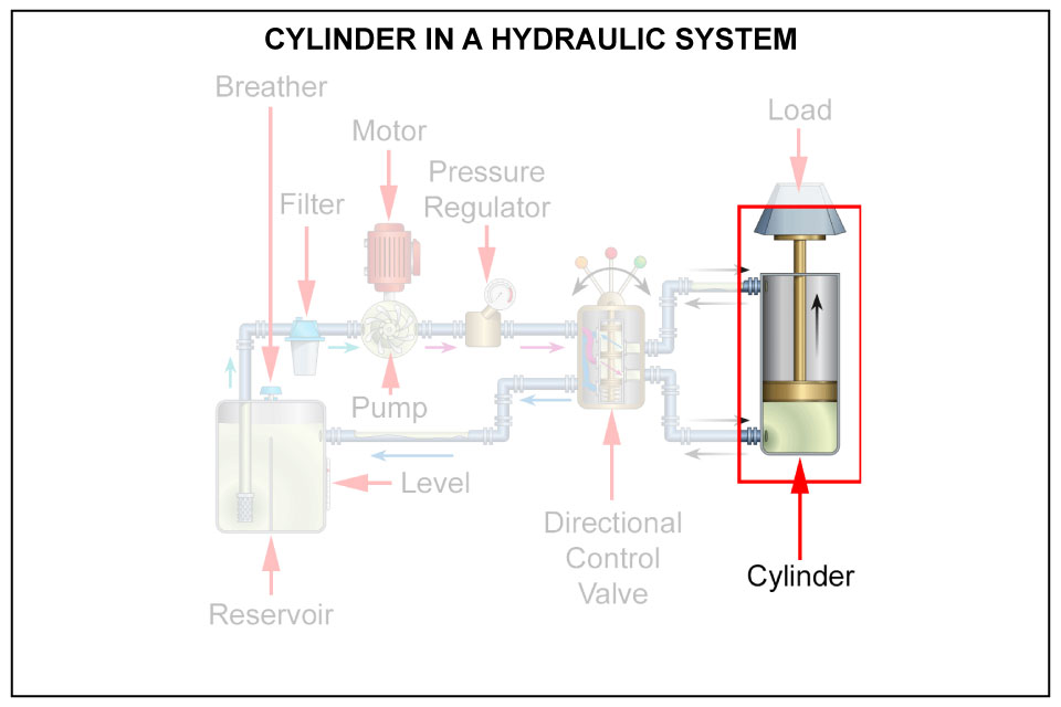 Cylinder in a hydraulic system